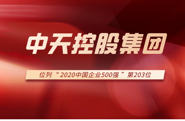 豪运国际集团列2020中国企业500强第203位！